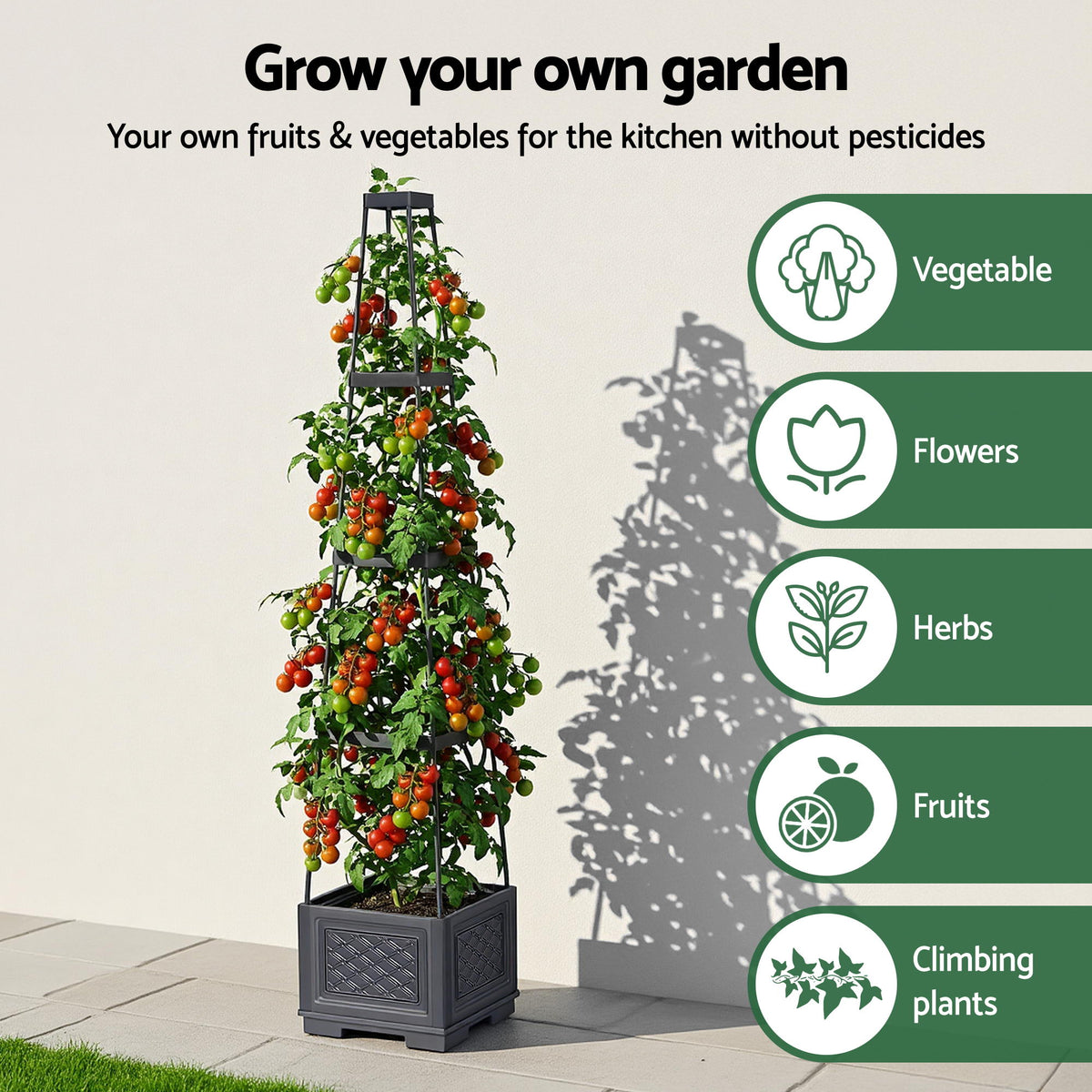 Self-Watering Planter with Trellis