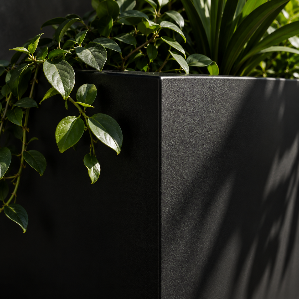 Conceptual close-up of a dark planter with green foliage